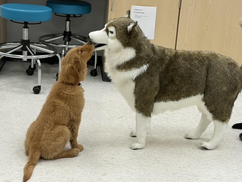 Mo and Model