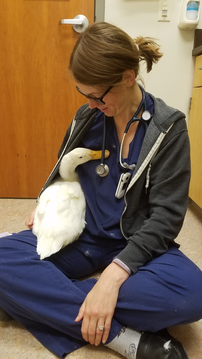 Dr. Amy Nichelason with a Duck