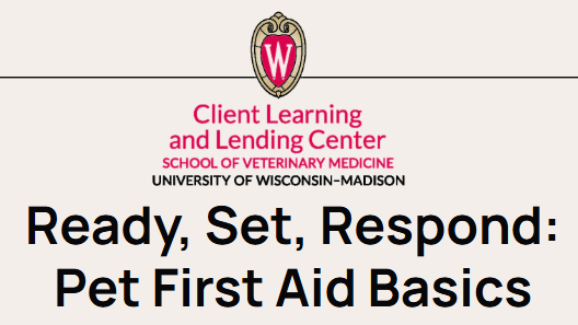 Ready Set Respond, First Aid Basics Poster