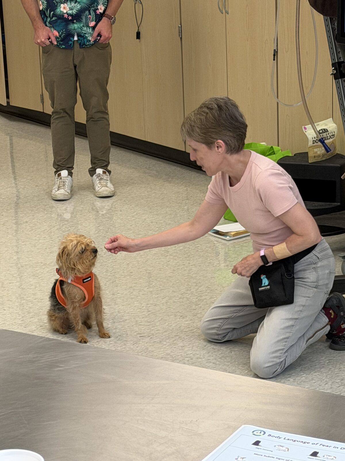 Dr. Schmidt teaches clients about operant conditioning using Edgar, the canine, as a demonstration; Click Treat Repeat; July 2026