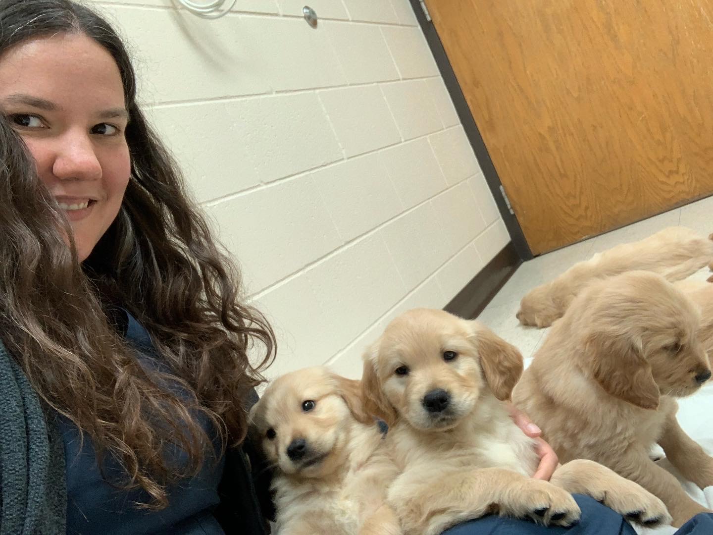 Dr. Jill Caviness with Puppies